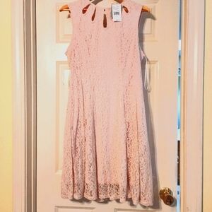 New Danny &Nicole Sleeveless Lace Dress.Size 14. Pink.